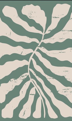 簡單素色長襪(綠.黃.白.藍)